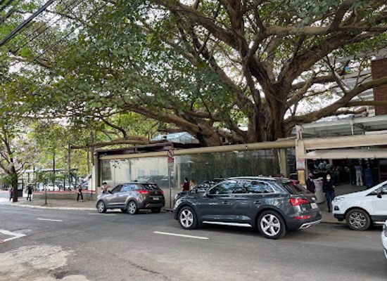 brazil/sao-paulo/jardins/landmark/a-figueira-rubaiyat