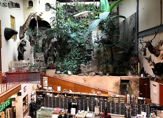 pennsylvania/lehigh-valley/landmark/lost-river-caverns