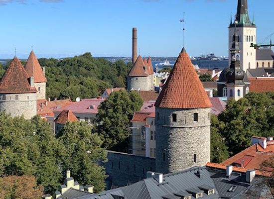 estonia/estonian-islands/landmark/patkuli-viewing-platform