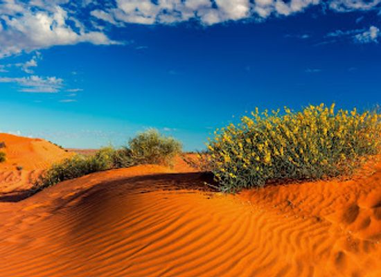 australia/outback/landmark/big-red-sand-dune