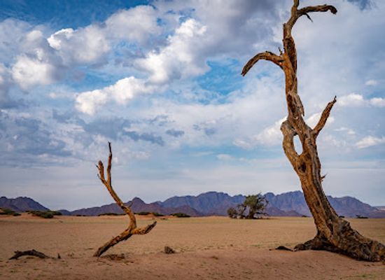 namibia/namib-naukluft-national-park/landmark/elim-dune