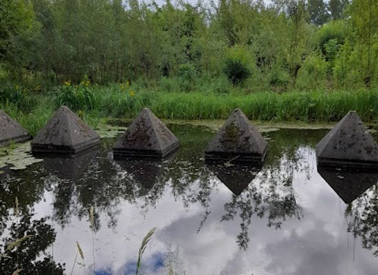 netherlands/alblasserwaard/landmark/natuur-en-vogelwacht-de-alblasserwaard
