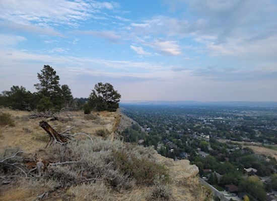 montana/billings/west-end/landmark/zimmerman-park
