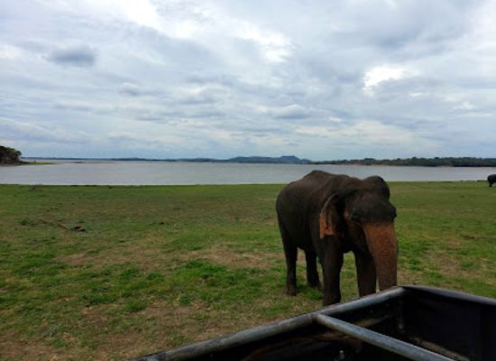 sri-lanka/minneriya-national-park/landmark/minneriya-national-park-ticket-office
