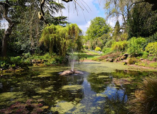 united-kingdom/monmouthshire/attraction/dewstow-gardens-grottoes-2