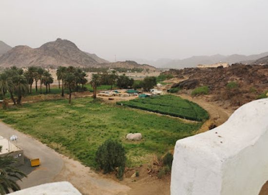 saudi-arabia/najran/landmark/sheikh-ali-bin-hussein-al-makrami-palace