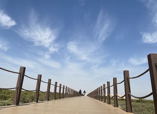 qatar/al-shamal/landmark/purple-island