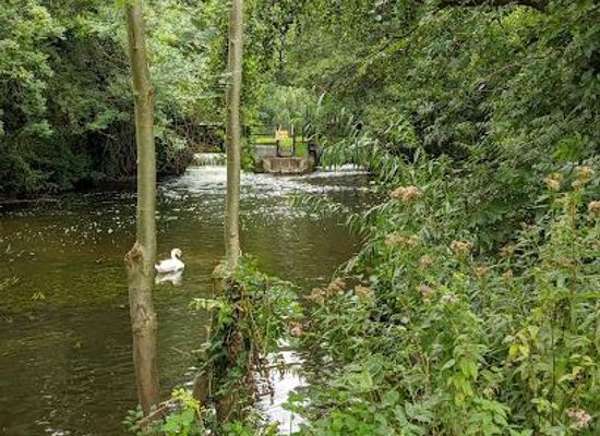 united-kingdom/norwich/landmark/cringleford-bridge
