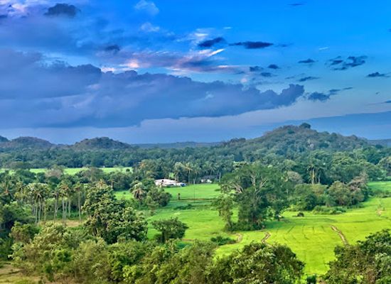 sri-lanka/minneriya-national-park/landmark/minneriya-wewa-bathing-place