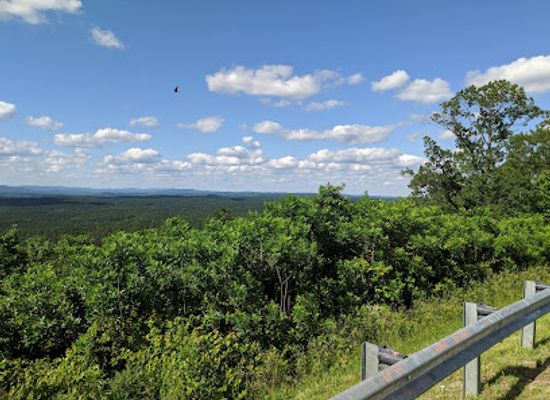 alabama/hill-country/landmark/talladega-national-forest