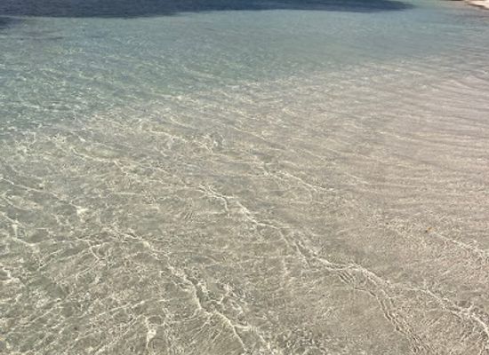 aruba/savaneta/landmark/savaneta-beach
