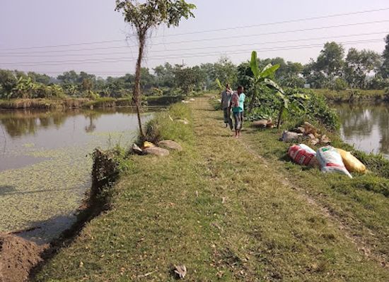 bangladesh/sylhet-division/landmark/shapla-bil-deundi