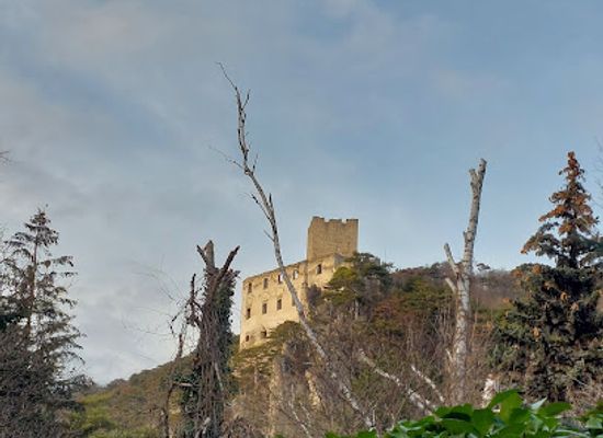 austria/vienna-woods/landmark/einsiedlerhohle