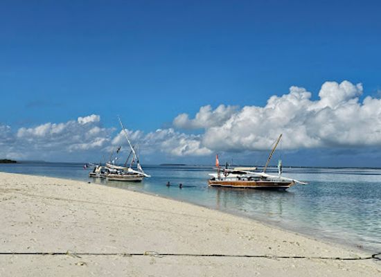 tanzania/zanzibar-archipelago/landmark/travel-to-zanzibar