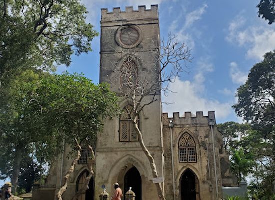 barbados/bridgetown/landmark/island-safari-b-dos-ltd