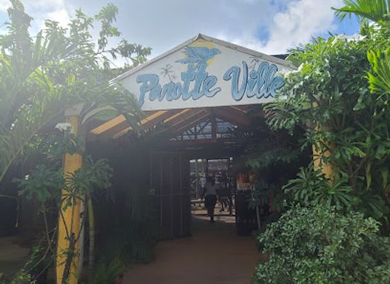 sint-maarten/belair/landmark/parotte-ville-bird-park