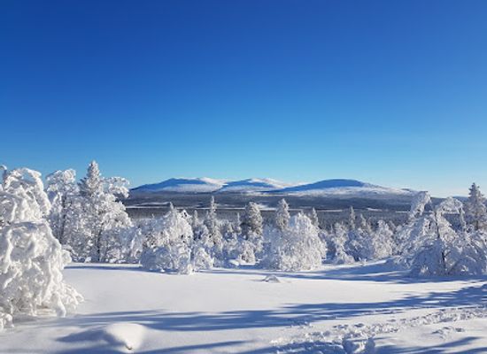 sweden/harjedalen/attraction/harjedalsguiderna-ab