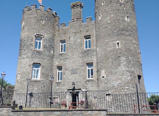 ireland/wexford/landmark/enniscorthy-castle
