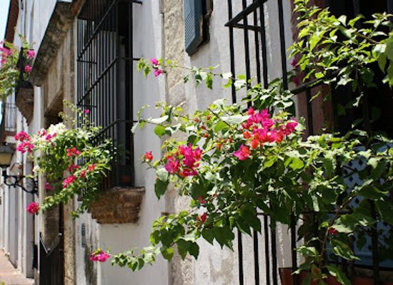 dominican-republic/santo-domingo-metropolitan-area/landmark/callejon-de-los-curas-entrada