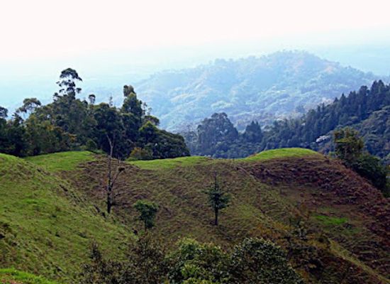 colombia/quindio-department/landmark/cascadas-del-rio-verde