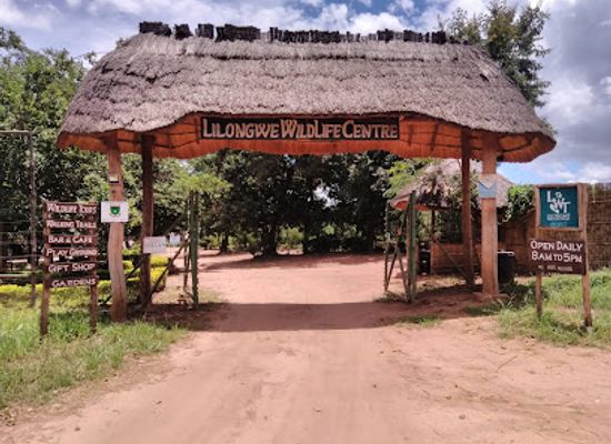 malawi/lilongwe-plain/landmark/lilongwe-wildlife-centre