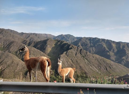 argentina/aconcagua-provincial-park/landmark/villavicencio-natural-reserve