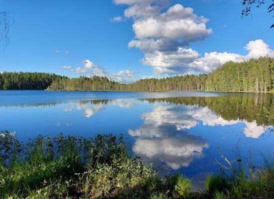 finland/pirkanmaa/landmark/seitseminen-national-park