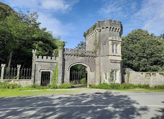 ireland/county-carlow/landmark/shankill-castle