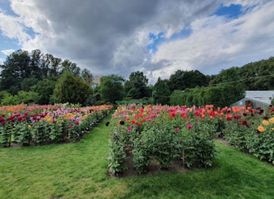 latvia/kurzeme/landmark/university-of-latvia-botanical-garden