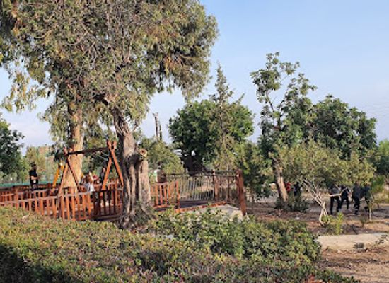 cyprus/limassol-district/landmark/polemidia-national-park