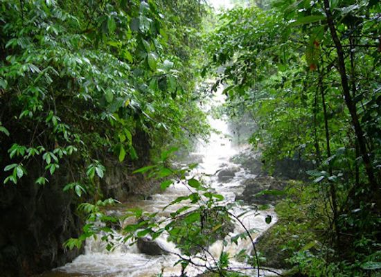 bolivia/amazon-basin/landmark/amboro-tours