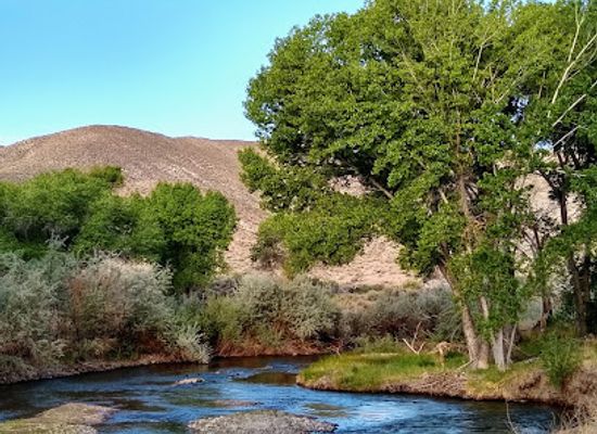 nevada/walker-lake/landmark/walker-river-state-recreation-area