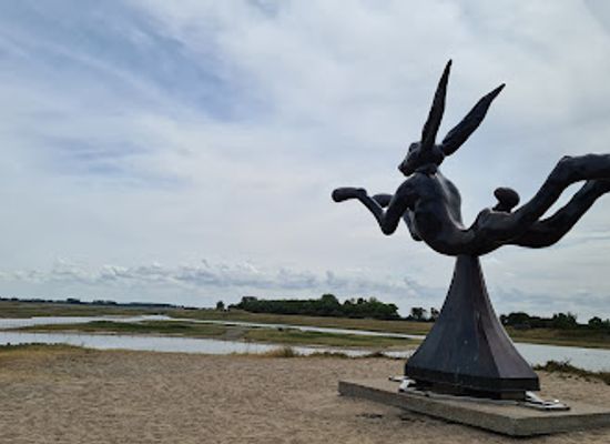 belgium/knokke-heist/landmark/noordelijke-duinen-zwin