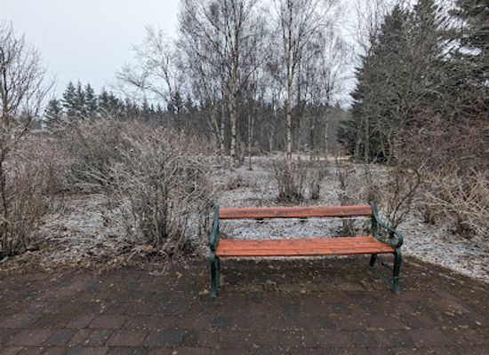 iceland/reykjavik/laugardalur/landmark/rosugarourinn-i-laugardal