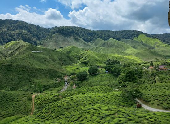 malaysia/cameron-highlands/landmark/bharat-tea-factory
