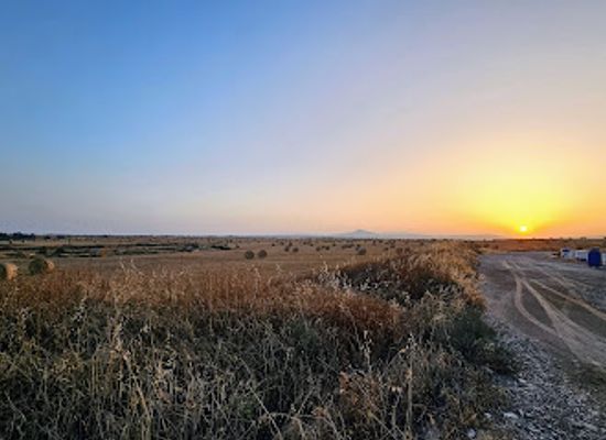 cyprus/larnaca-salt-lake/landmark/dromolaxia-byzakia-excavation-site