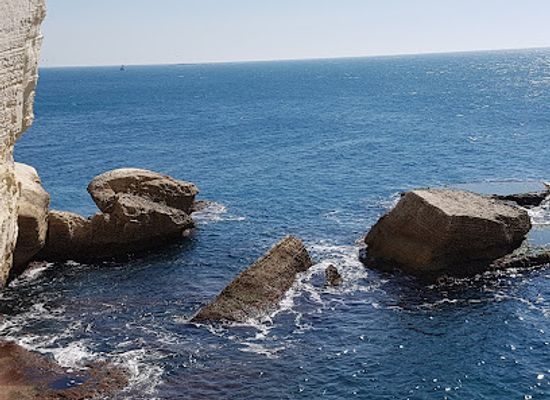 israel/haifa-beaches/landmark/ha-em-garden