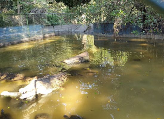 nicaragua/apoyo-lagoon/landmark/zoologico-nacional-de-nicaragua
