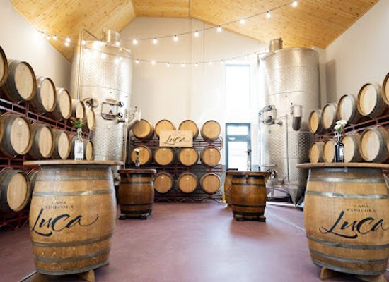 moldova/cricova-wine-cellars/landmark/casa-vinicola-luca