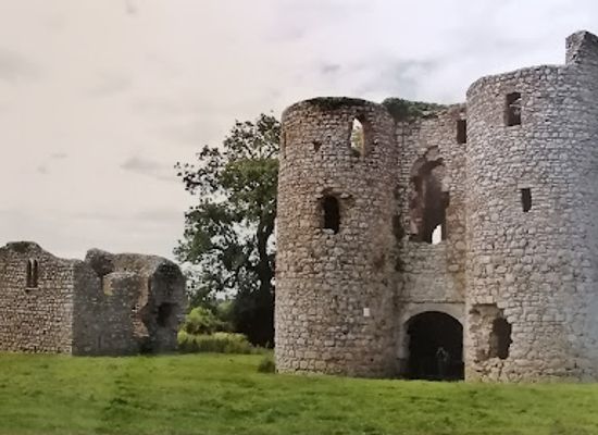 ireland/county-carlow/landmark/ballyloughan-castle