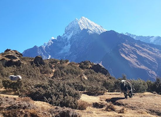 nepal/namche-bazaar/landmark/everest-bakery