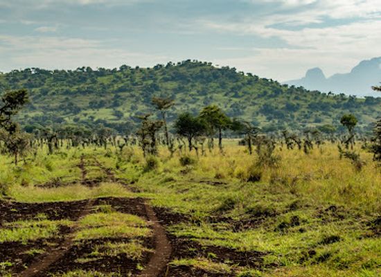 uganda/teso/landmark/pian-upe-game-reserve