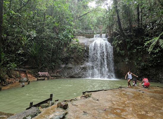 fiji/eastern-division/landmark/colo-i-suva-forest-park