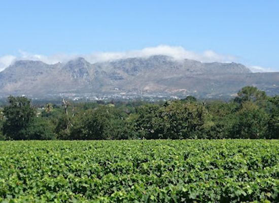 south-africa/cape-town/constantia/landmark/jonkershuis-constantia