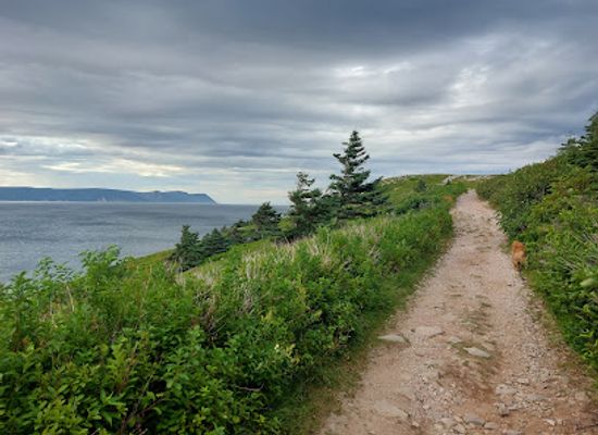 canada/cape-breton-highlands-national-park/landmark/white-point-trailhead