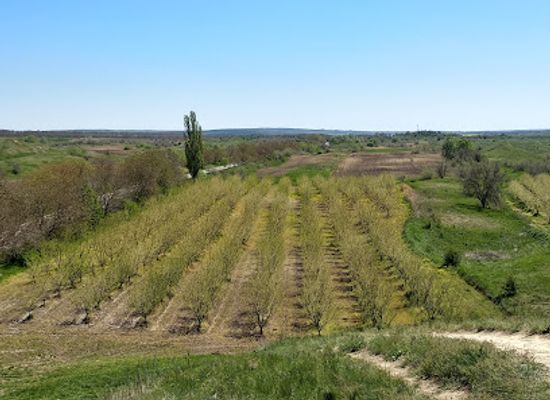 moldova/nistru-river/landmark/suta-de-movile