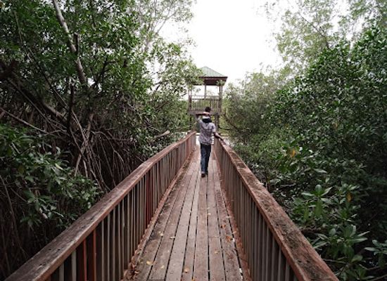 grenada/saint-david/landmark/levera-national-park