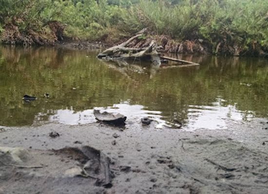 equatorial-guinea/mbini/landmark/benito-river
