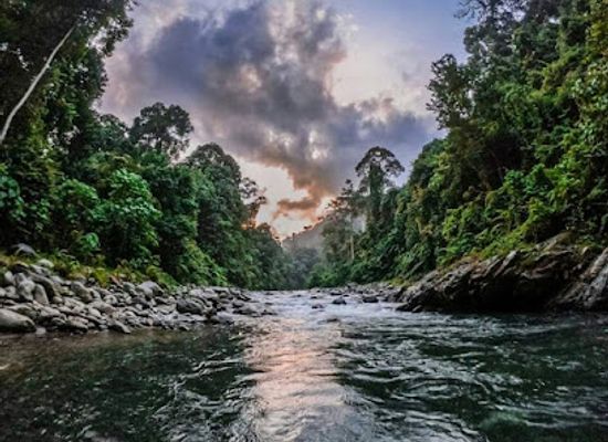 indonesia/bukit-lawang/landmark/sumatra-orangutan-treks