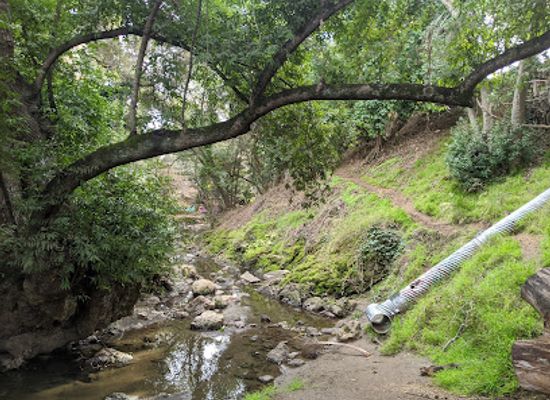 california/castro-valley/landmark/carlos-bee-park